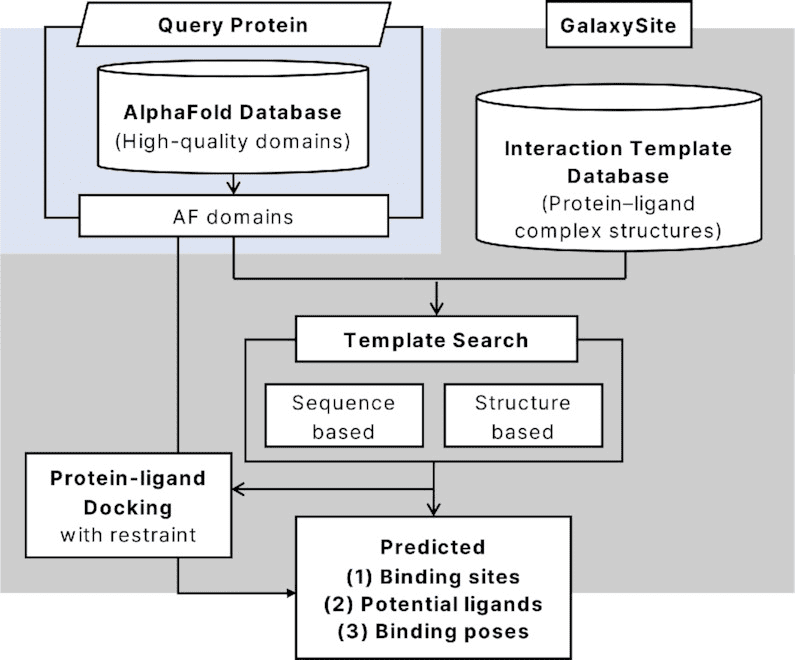 HProteome-BSite: predicted binding sites and ligands in human 3D proteome